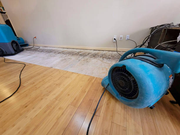 Professional Burst Pipe Water Damage technician working in Linn Creek, MO